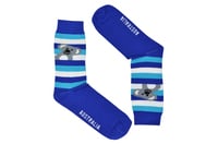 Socks Souv Low Cut / Cushi Blue SW002 Site 45,46,99